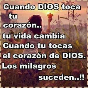 Meet your Posher, Angelica